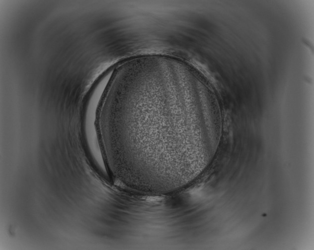 X0000091850060200709191104