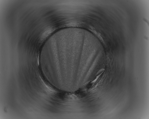 X0000091850062200709191104