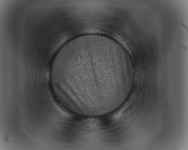 X0000091850063200709191104