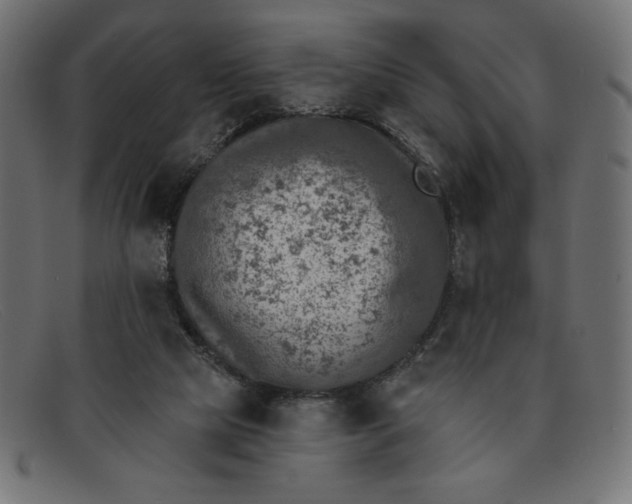 X0000091850065200709191104