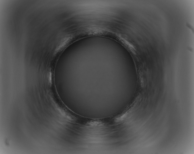 X0000091850067200709191104