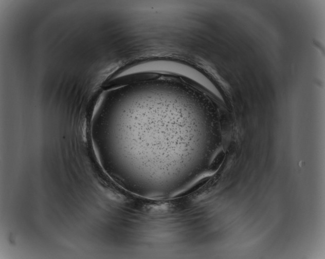 X0000091850068200709191104