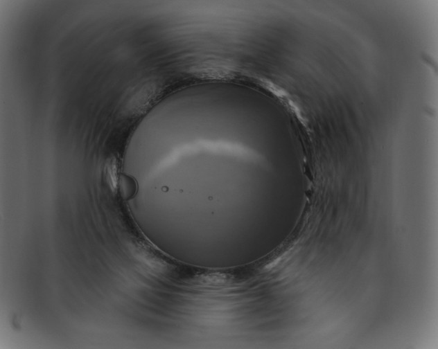 X0000091850069200709191104