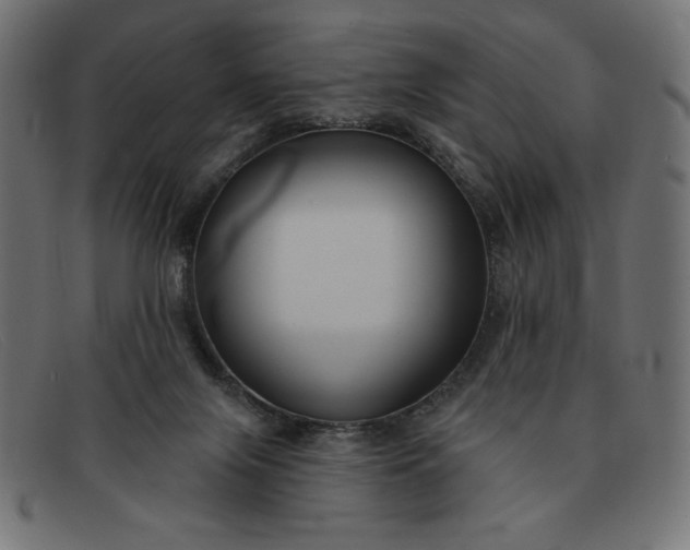 X0000091850071200709191104