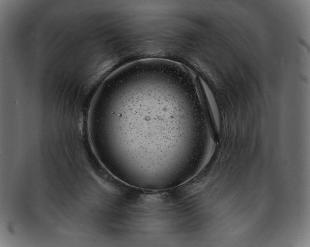 X0000091850072200709191104