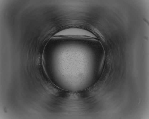 X0000091850073200709191105