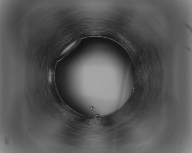 X0000091850075200709191105