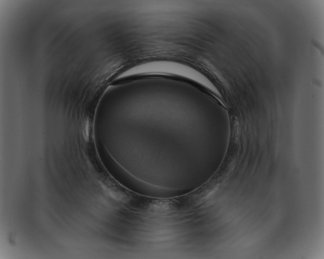 X0000091850076200709191105