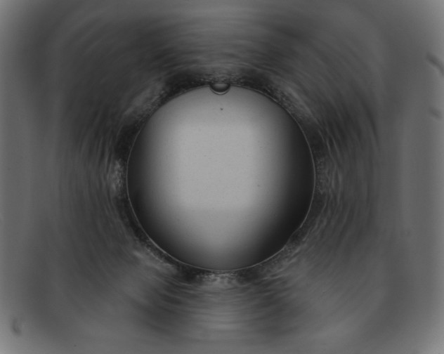 X0000091850077200709191105