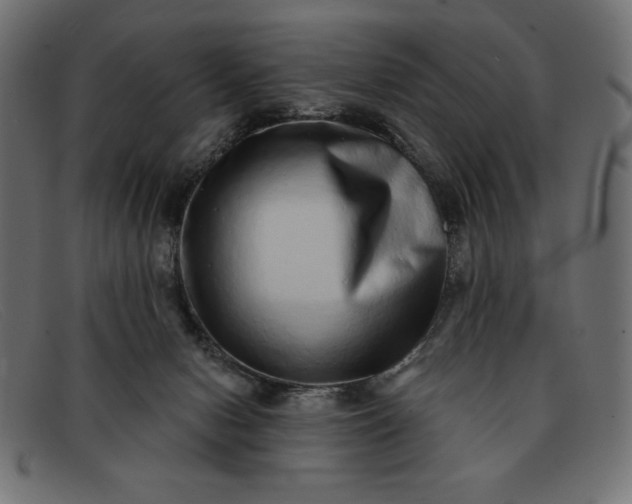 X0000091850078200709191105