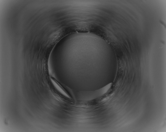 X0000091850080200709191105