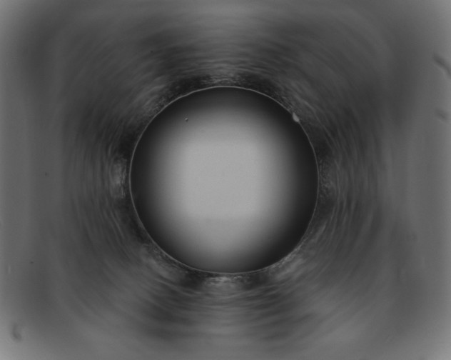 X0000091850082200709191105