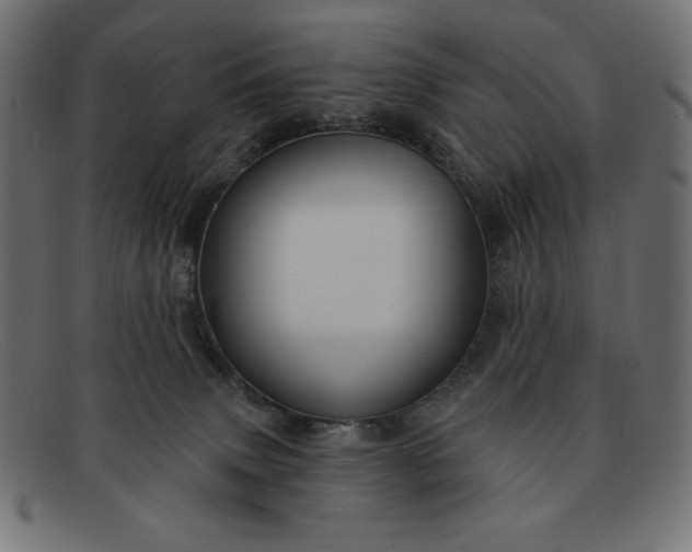 X0000091850083200709191105