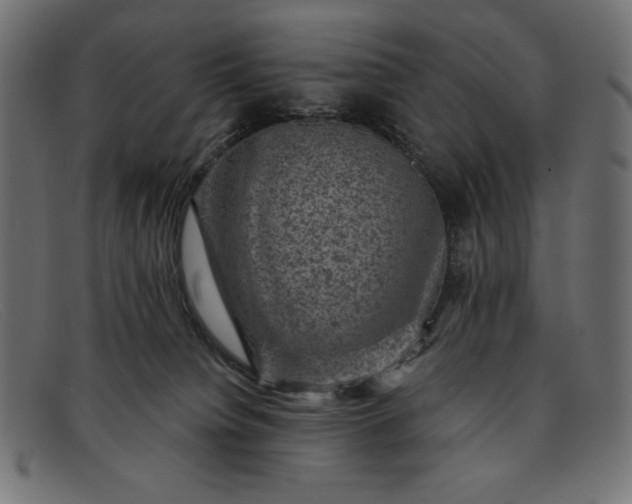 X0000091850084200709191105