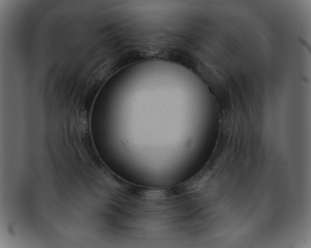 X0000091850085200709191105