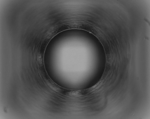 X0000091850086200709191105