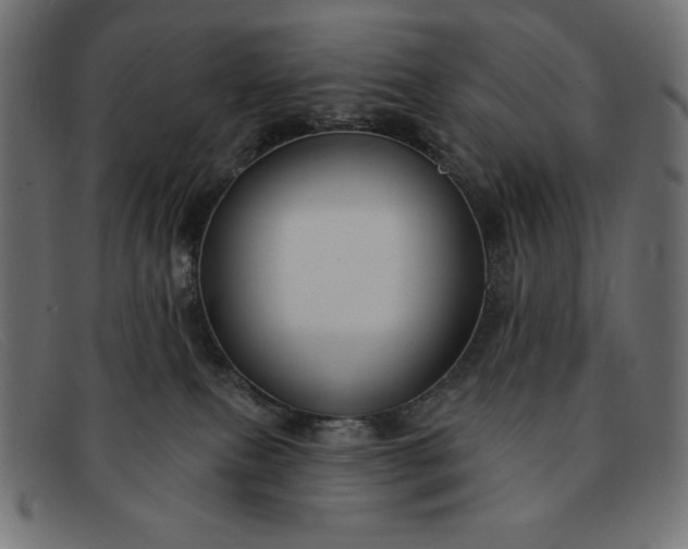 X0000091850087200709191105