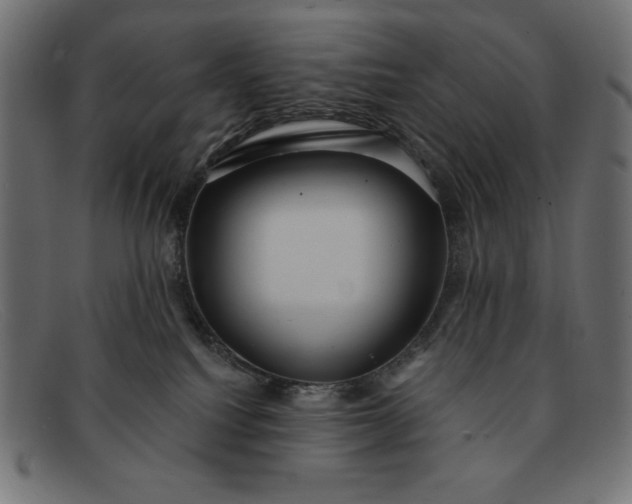 X0000091850088200709191105