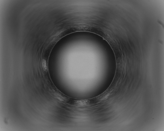 X0000091850089200709191105