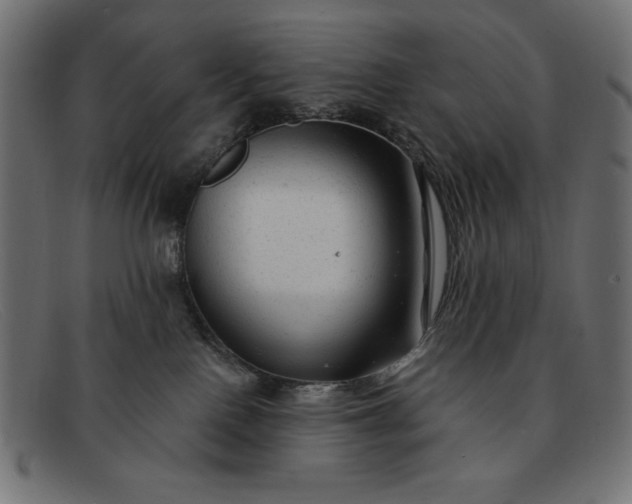 X0000091850090200709191105