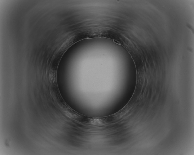 X0000091850091200709191105