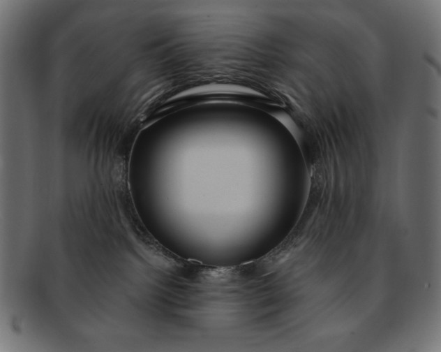 X0000091850092200709191105