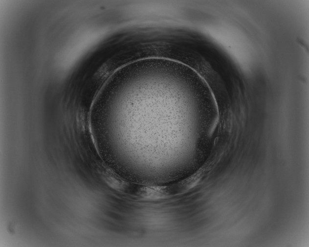 X0000091850093200709191105