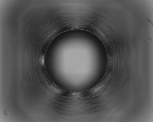 X0000091850095200709191105