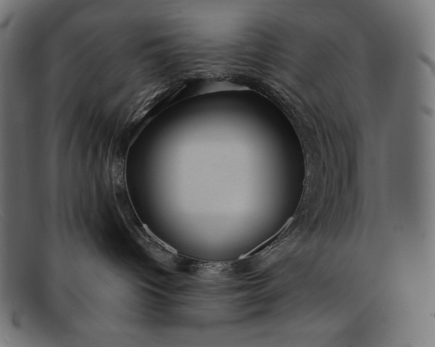 X0000091850096200709191105