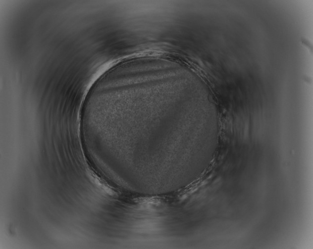 X0000091850100200709191104