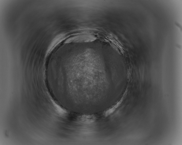 X0000091850101200709191104