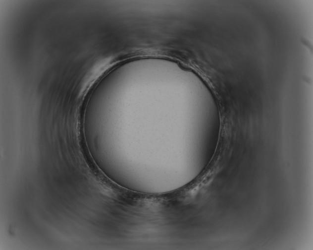 X0000091850103200709191104