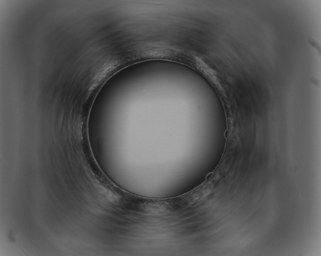 X0000091850106200709191104
