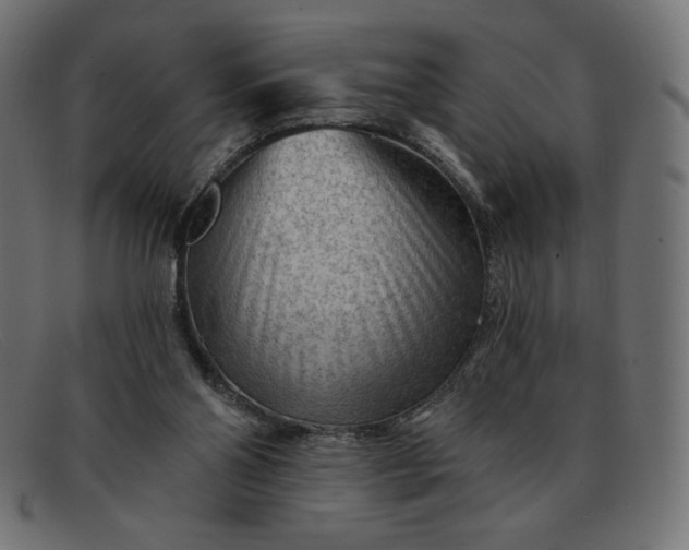 X0000091850110200709191104