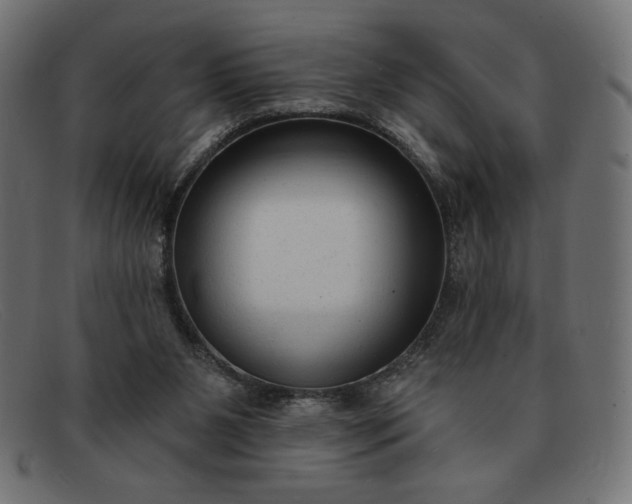 X0000091850111200709191104