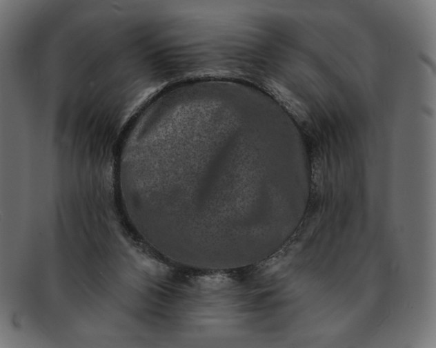 X0000091850112200709191104