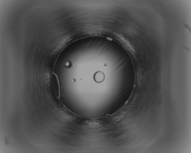 X0000091850113200709191104