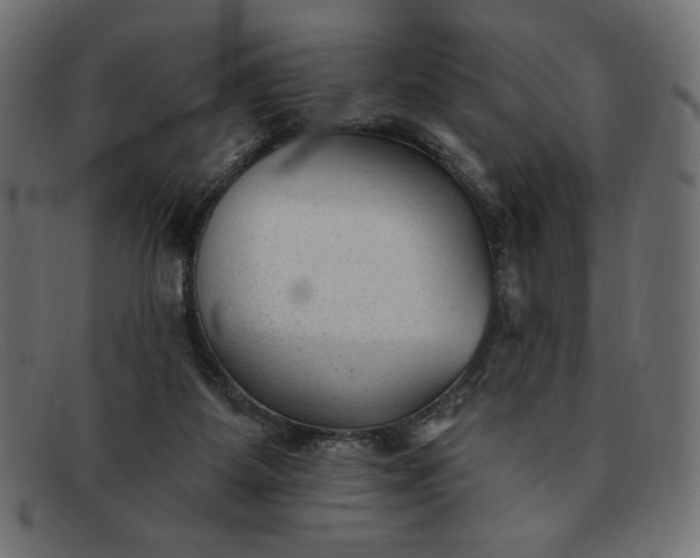 X0000091850115200709191104