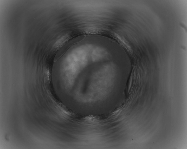 X0000091850117200709191104
