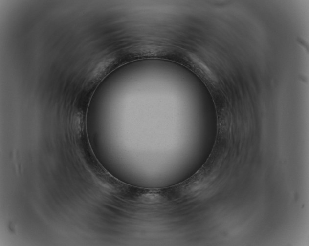 X0000091850119200709191104