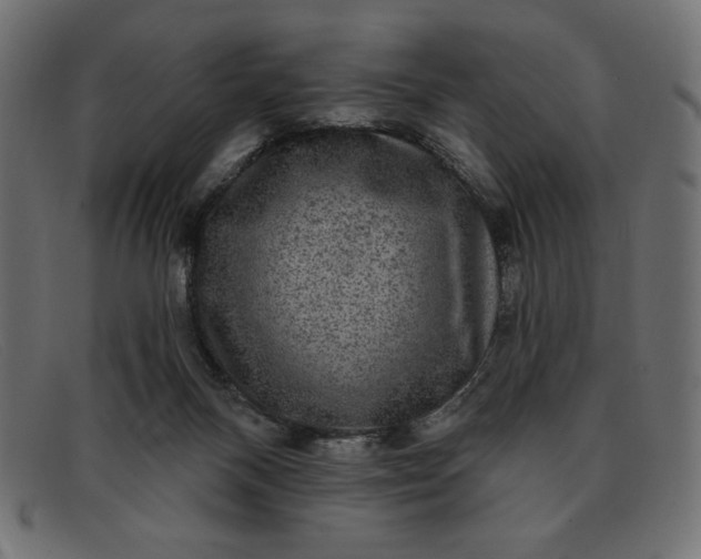 X0000091850120200709191104