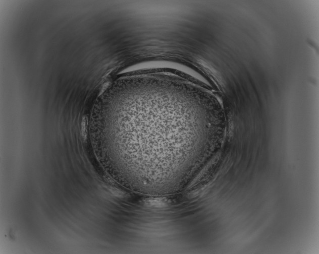 X0000091850121200709191104