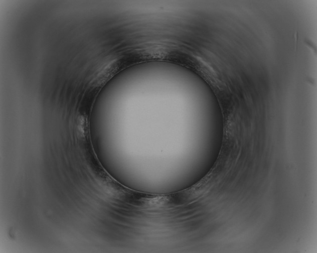 X0000091850122200709191104