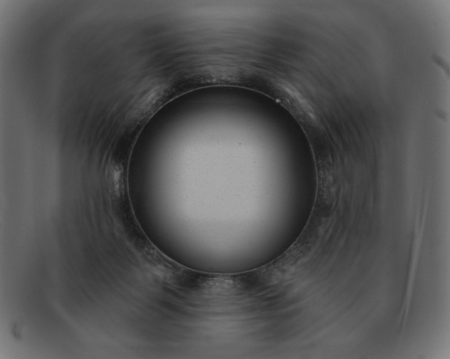 X0000091850123200709191104