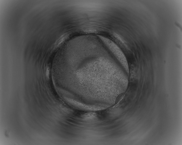 X0000091850124200709191104