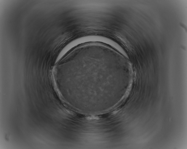 X0000091850125200709191104