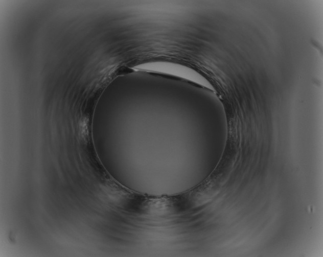 X0000091850127200709191104