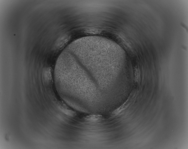 X0000091850128200709191104