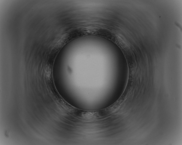 X0000091850129200709191104