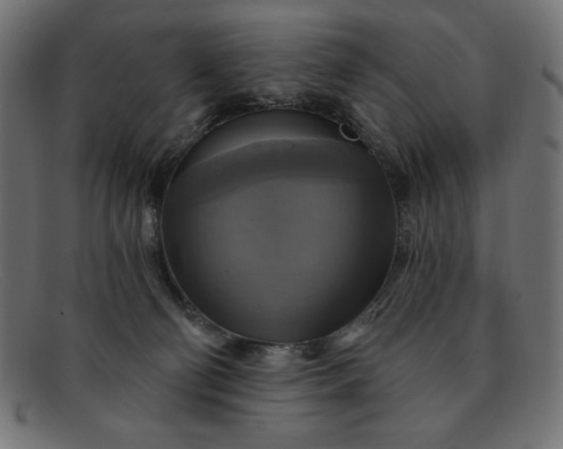 X0000091850130200709191104
